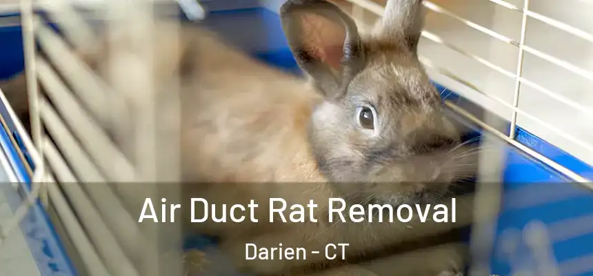  Air Duct Rat Removal Darien - CT