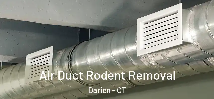  Air Duct Rodent Removal Darien - CT