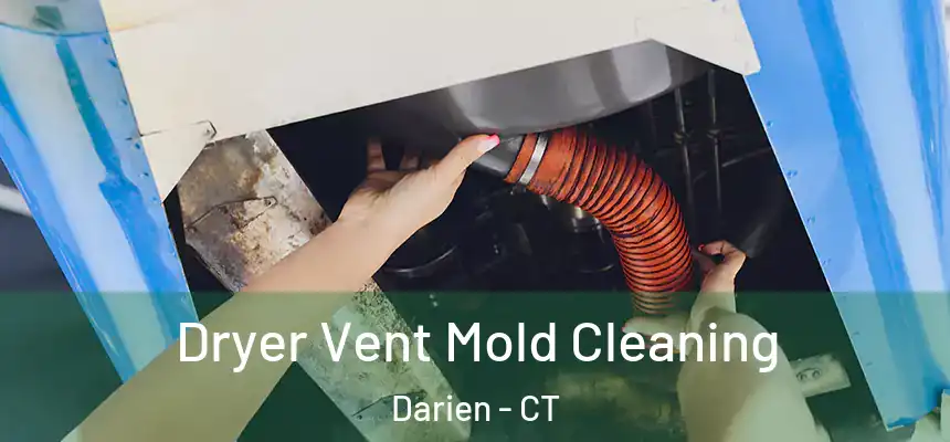 Dryer Vent Mold Cleaning Darien - CT