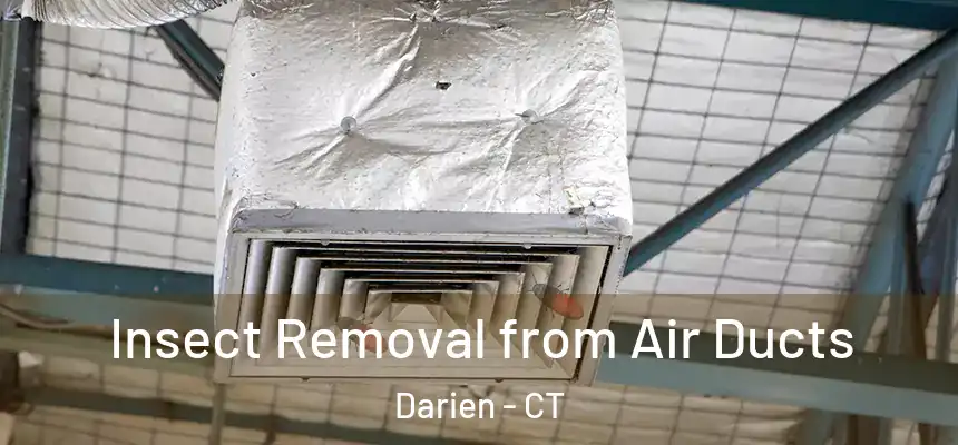  Insect Removal from Air Ducts Darien - CT