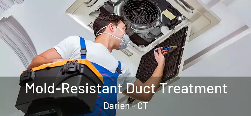  Mold-Resistant Duct Treatment Darien - CT