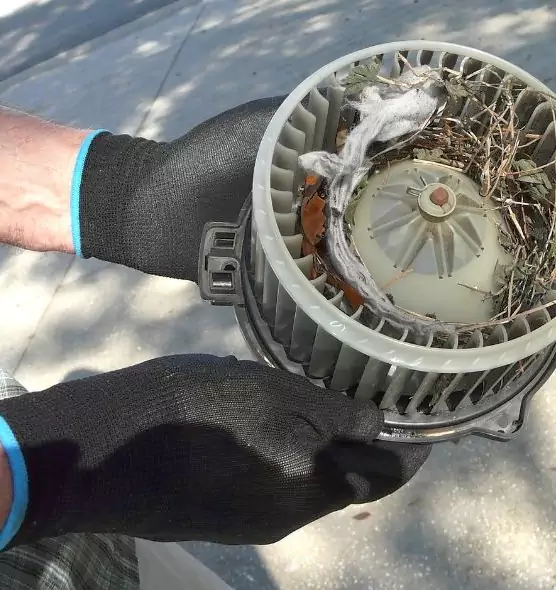 About Air Duct Mice Removal in Darien, CT