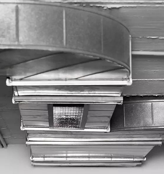 Professional Air Duct Pest Removal in Darien, CT